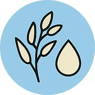 Avena Sativa (Oat) Kernal Oil