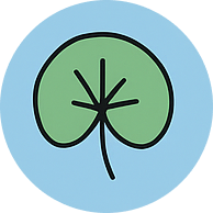 Centella Asiatica (Gotu Kola) Extract