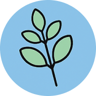 Moringa Oleifera (Organic Moringa) Seed Oil