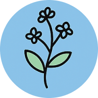 Sodium Cocoyl Glutamate